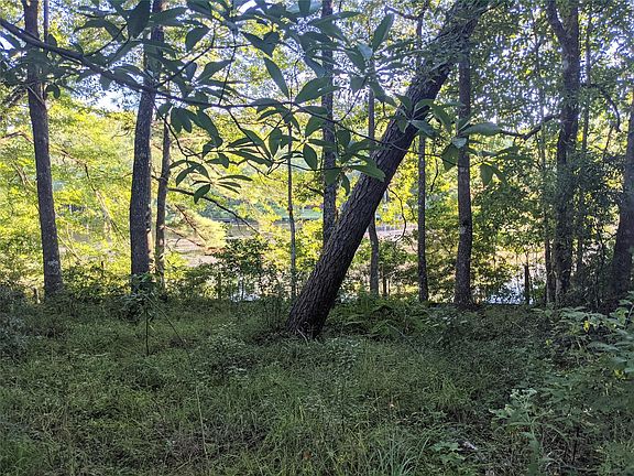 5th image of 434 County Road 3190