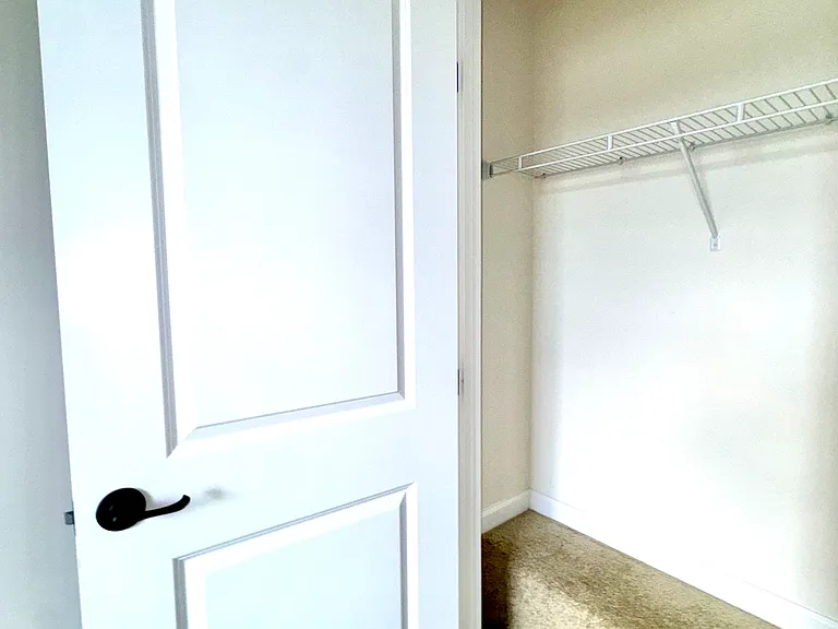 163 Moul Ave - Bedroom 2 Closet