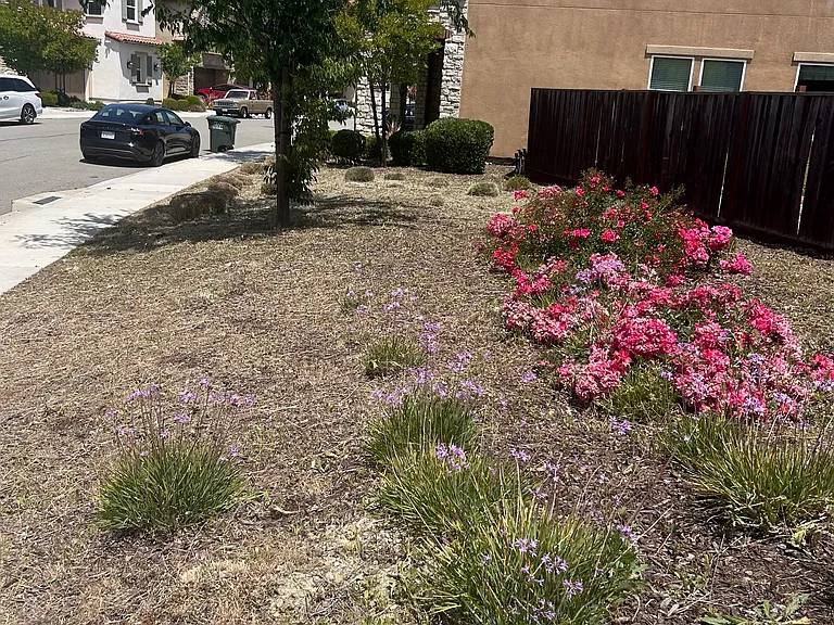 2896 Mount Dana Dr — Photo 23