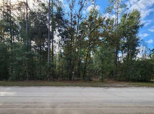 1088 SW Utah St, Fort White, FL 32038