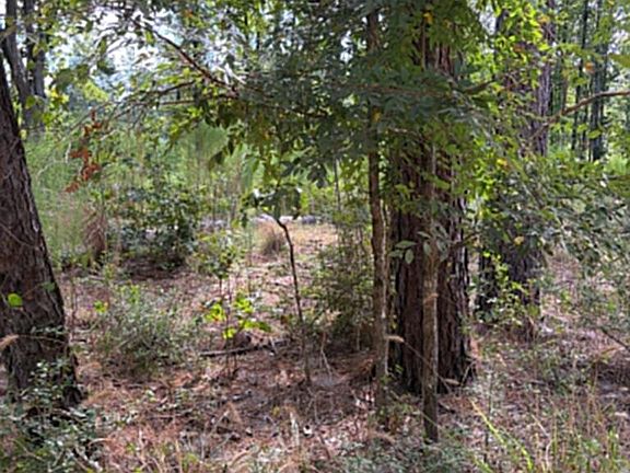 4th image of R 3 155685 Miles Rd