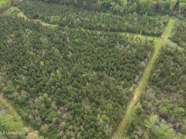 Little Ln, Crystal Springs, MS 39059