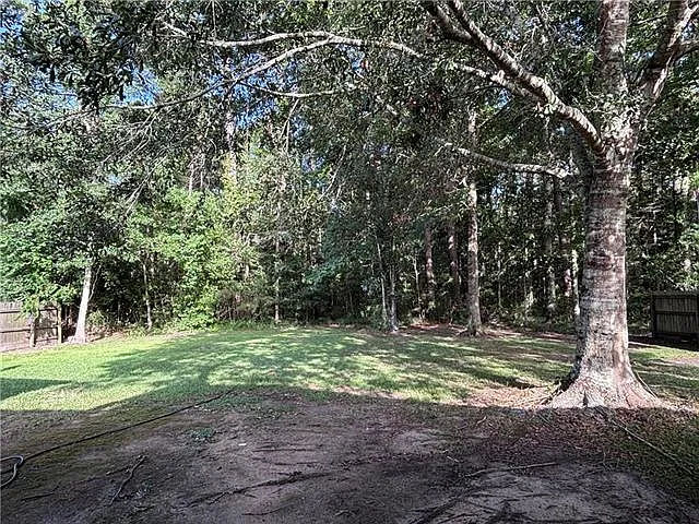 421 Greenfield Dr — Photo 19