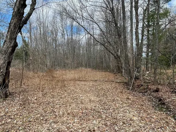 46 Clement Drive #46, Landaff, NH 03585