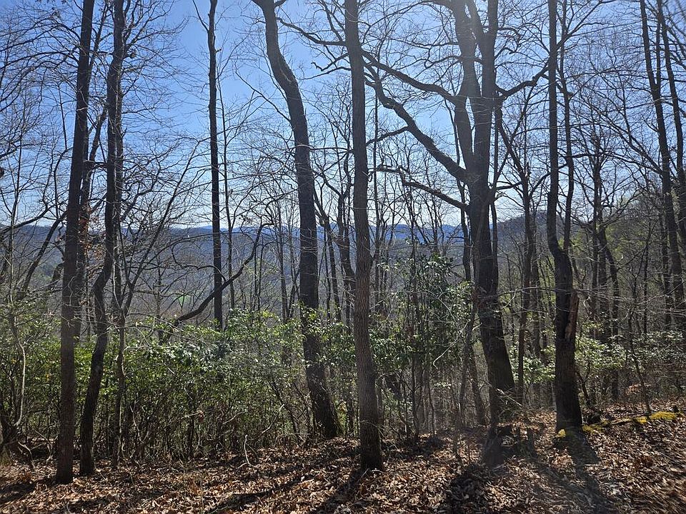 1st image of 0 Brasstown Rd