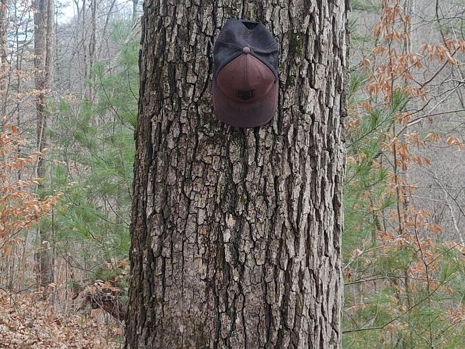 Bear Hollow Rd, Bristol, TN 37620 Zillow