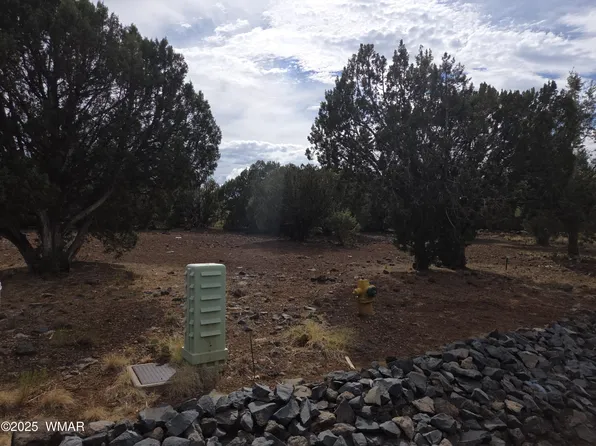 1920 Passage Dr #31, Show Low, AZ 85901