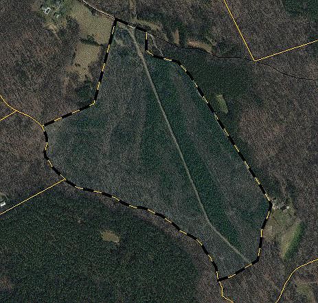 1st image of 1136 Parham Trl