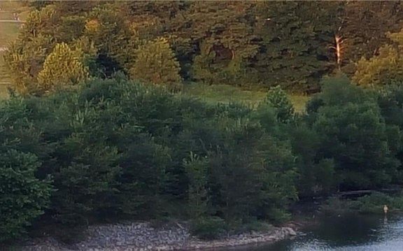 2nd image of 22653 E Highway 412
