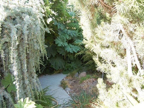 front yard gardens