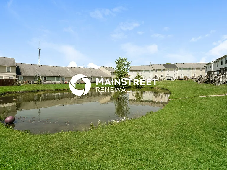 Rear View