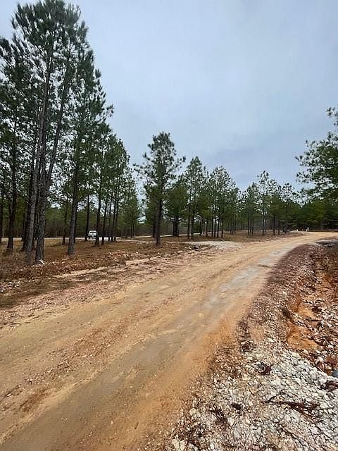 2nd image of 609 Top Notch Road