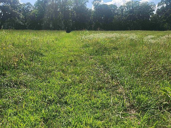 4th image of TRACT 7 Whittington Homestead