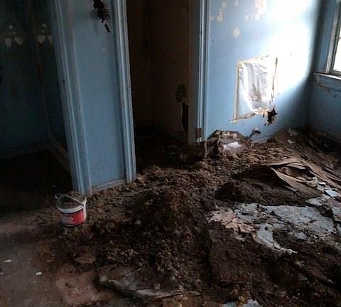 3rd image of 2708 Almeda Dr