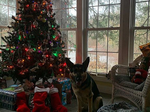 Christmas in the sun room