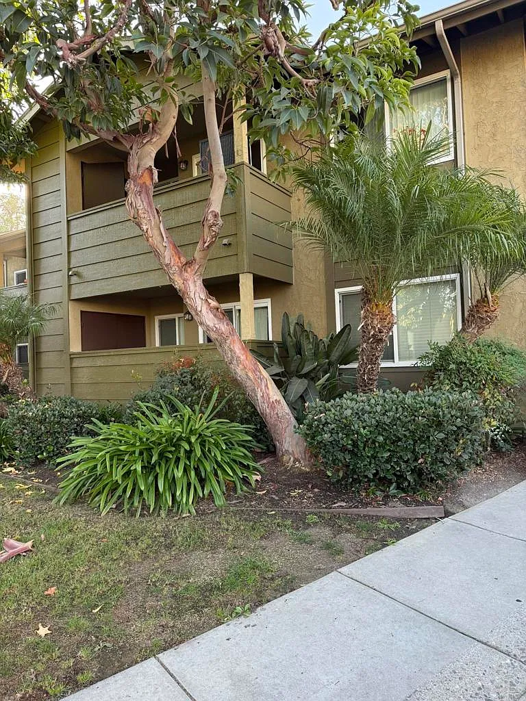 2 bed, 1.0 bath, 819 sqft, $2,650 — Photo 2