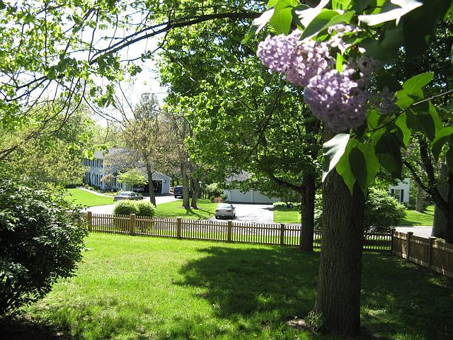 Side Yard