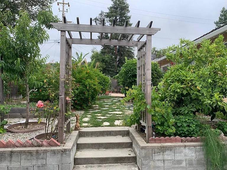 Danville Dr — Photo 24