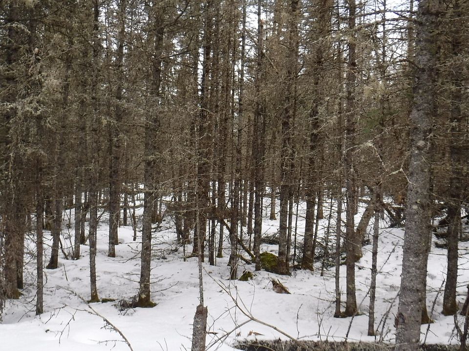 1st image of N And West Of Johnson Creek Dr