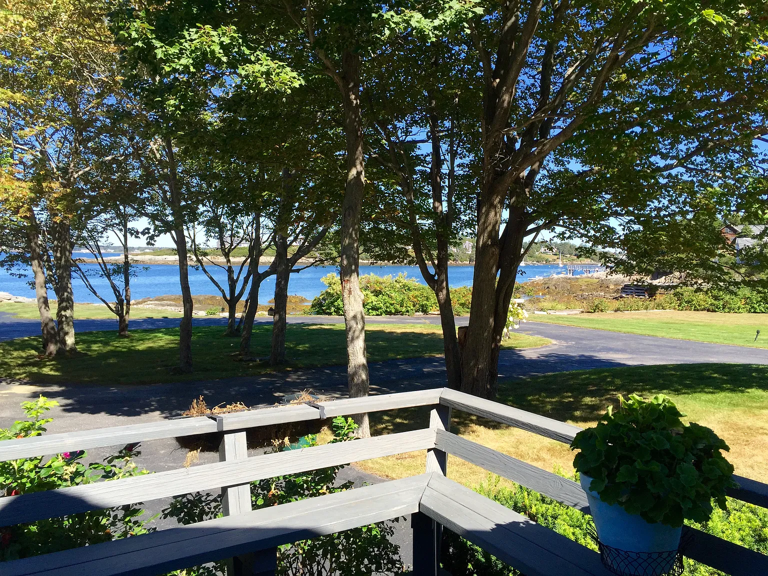 1 bed, $1,100 — Photo 2