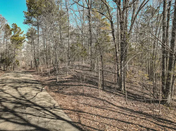 0 Creek Ridge Cv Lot 138, Parsons, TN 38363