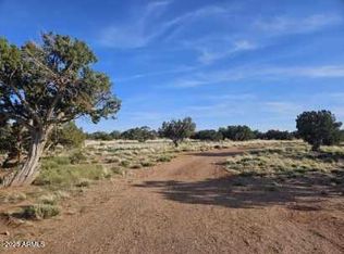 110 N County Rd #N5578, Concho, AZ 85924
