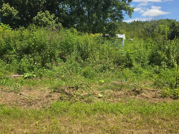 152 & 138 Wilmoth Ln, Washburn, TN 37888