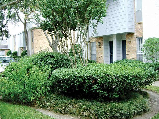 Front of the unit faces the well manicured courtyard 