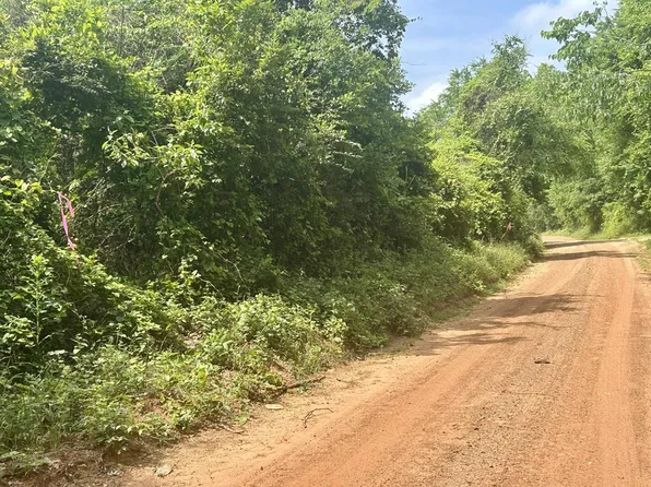 County Road 175 Dobbs Rd, Garrison, TX 75946