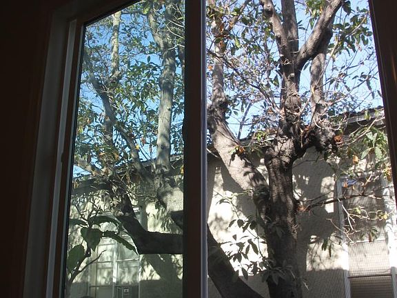 out bedroom window
