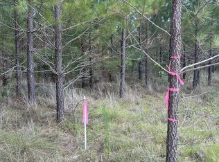 Bff 4 Brunson Teal Rd #BFF-4, Patrick, SC 29584