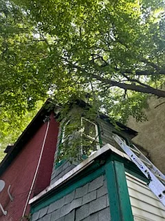 5630 Pemberton1st Floor — Photo 24