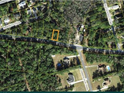 Dr Martin Luther King Jr Memorial Rd, Crawfordville, FL, 32327