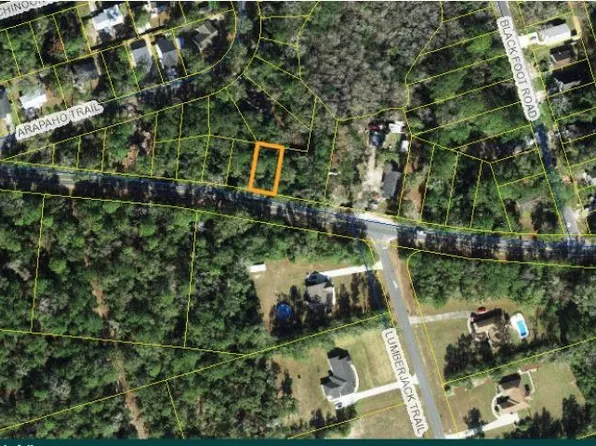 Dr Martin Luther King Jr Memorial Rd, Crawfordville, FL 32327