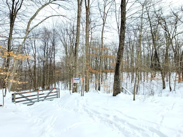 123 Pleasant Ridge Rd, Cowen, WV 26206