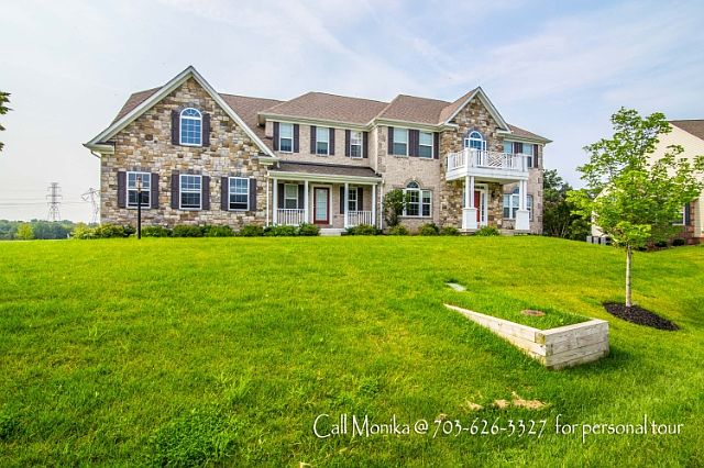 1st image of 42029 Mistflower Cir