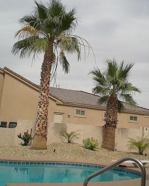 1st image of 2223 Oliver Ln