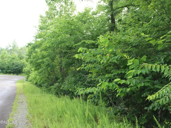 0 Graphite Ct Lot 389, New Tazewell, TN 37825