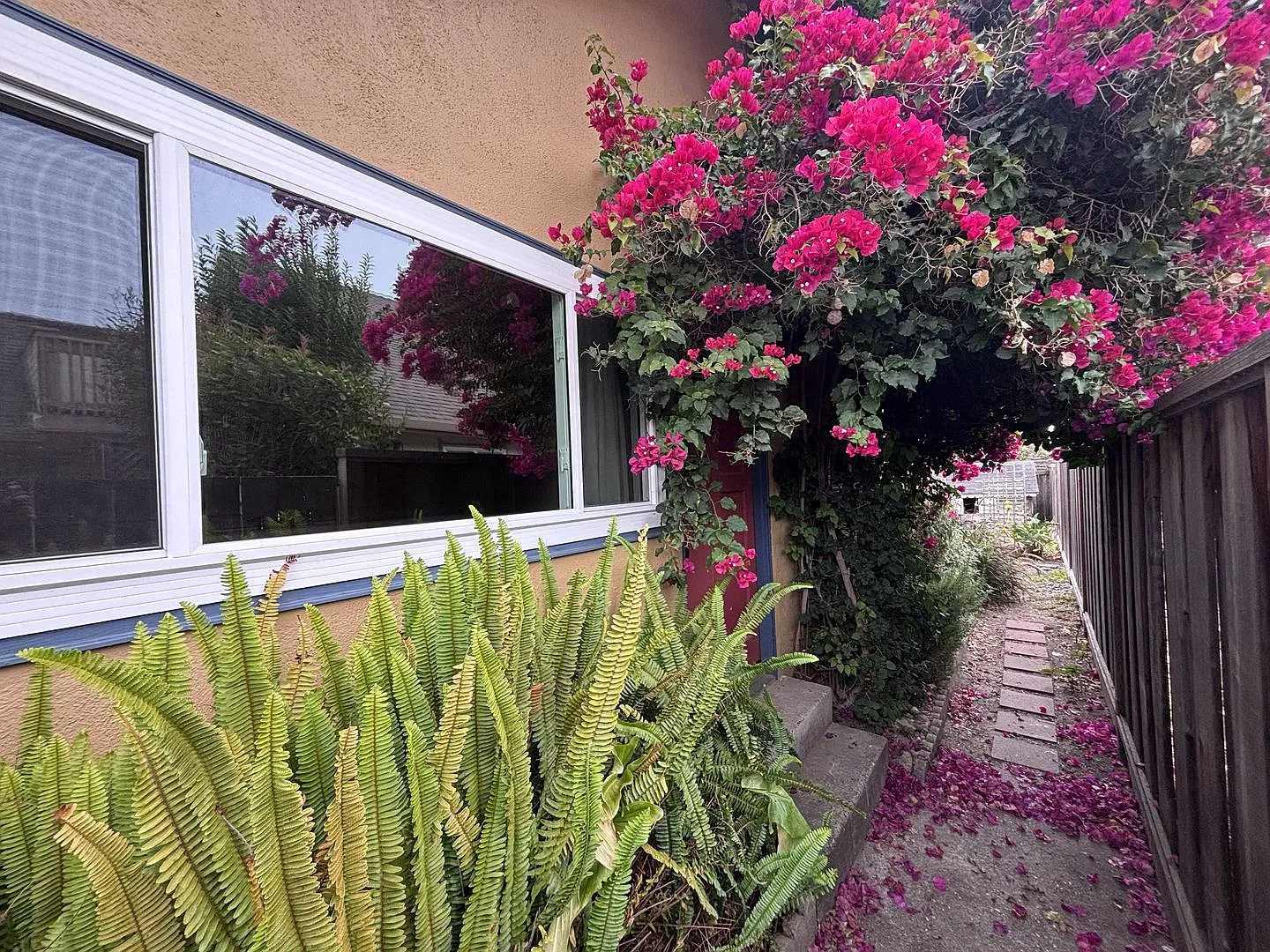 Cozy Soquel 1BR Retreat | Private Entrance & Mature Landscaping — Photo 3