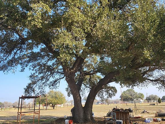 3rd image of 24551 Open Range Rd