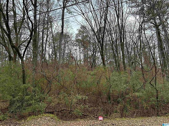 4th image of 100 Pleasant Valley Dr #1