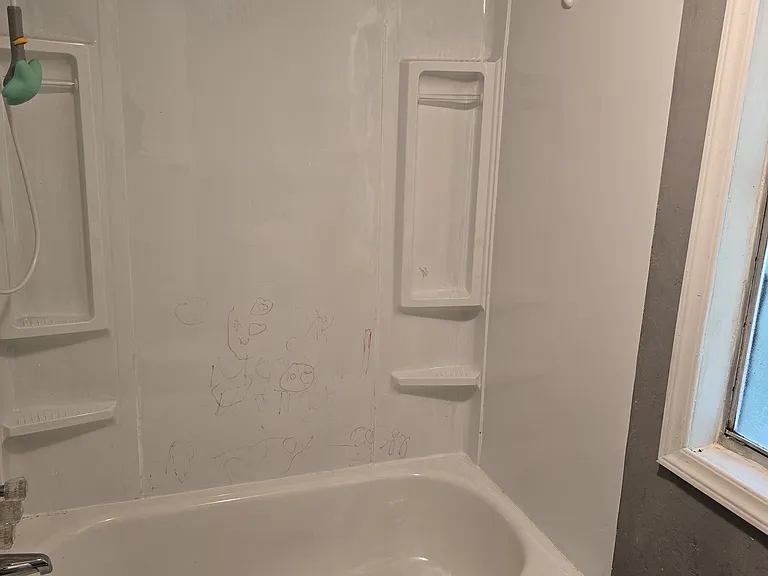 guest bath tub shower