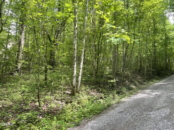 4 Walden Flats Way Lot 4, Sevierville, TN 37862