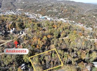 466 Loop Rd, Gatlinburg, TN 37738