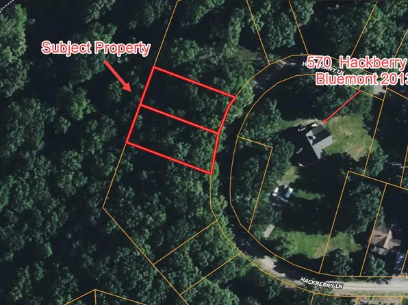 49 & Lot 50, Bluemont, VA 20135