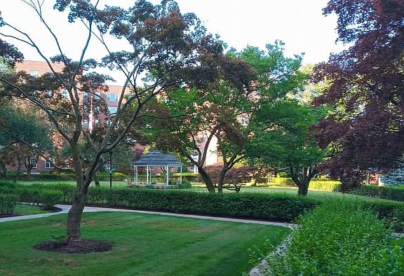 2nd image of 230 Pelham Rd APT 5