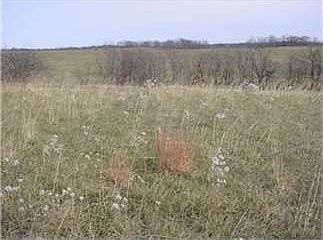 2nd image of 16925 Endsley Rd