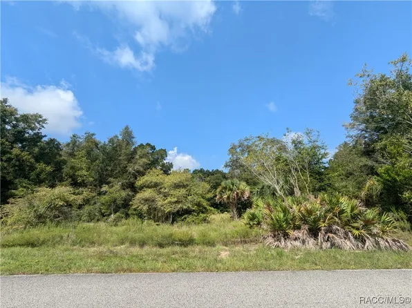 8360 N Bella Ripa Ter, Crystal River, FL 34428