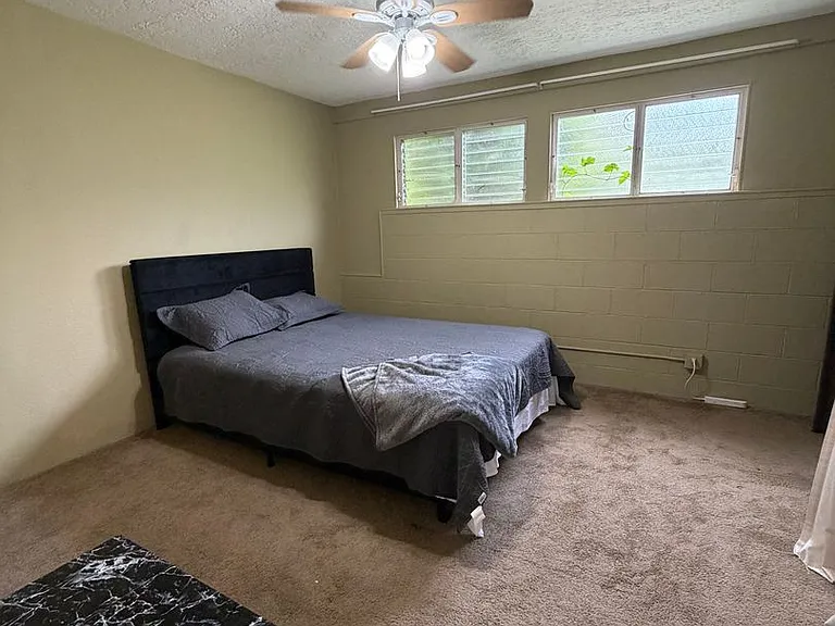 529B Wainaku St — Photo 8
