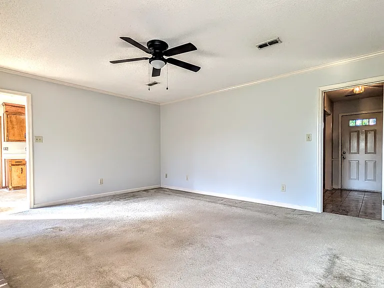 608 Matheny Cut — Photo 11